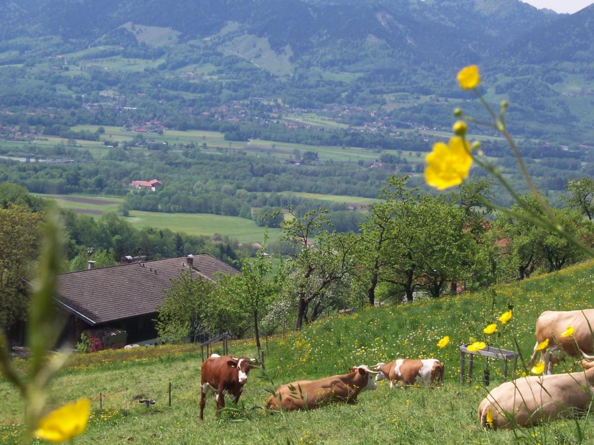 Weberhof Lägenhet Samerberg Exteriör bild