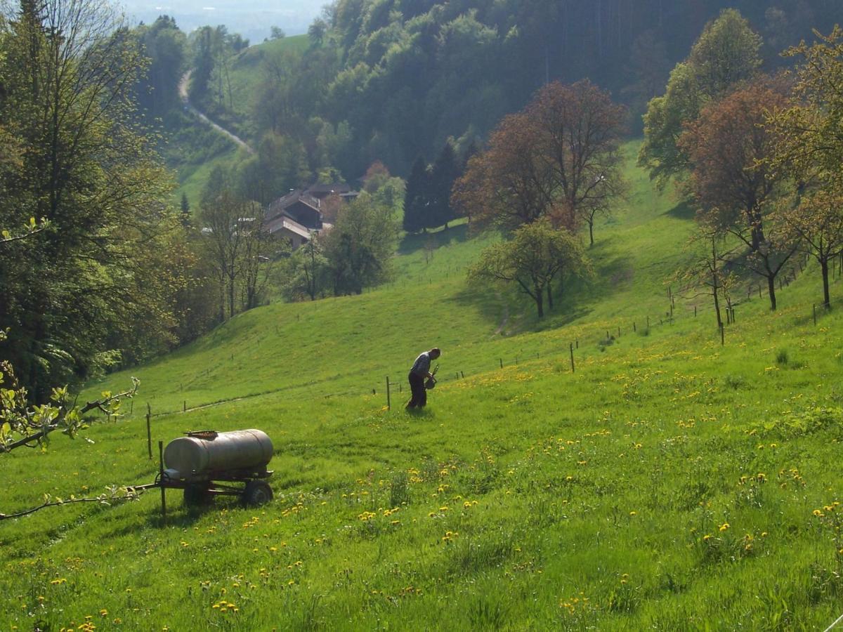Weberhof Lägenhet Samerberg Exteriör bild