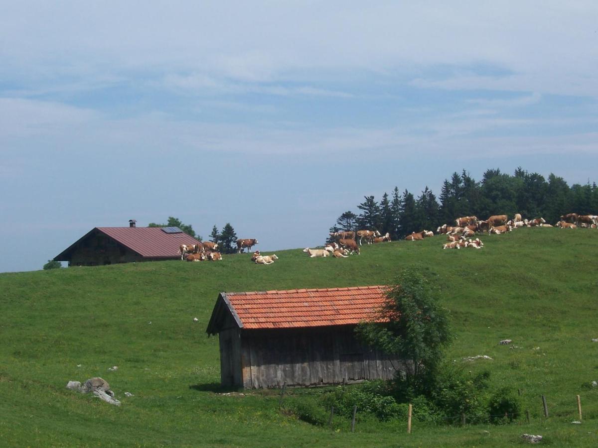Weberhof Lägenhet Samerberg Exteriör bild